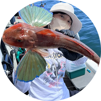 ホウボウ